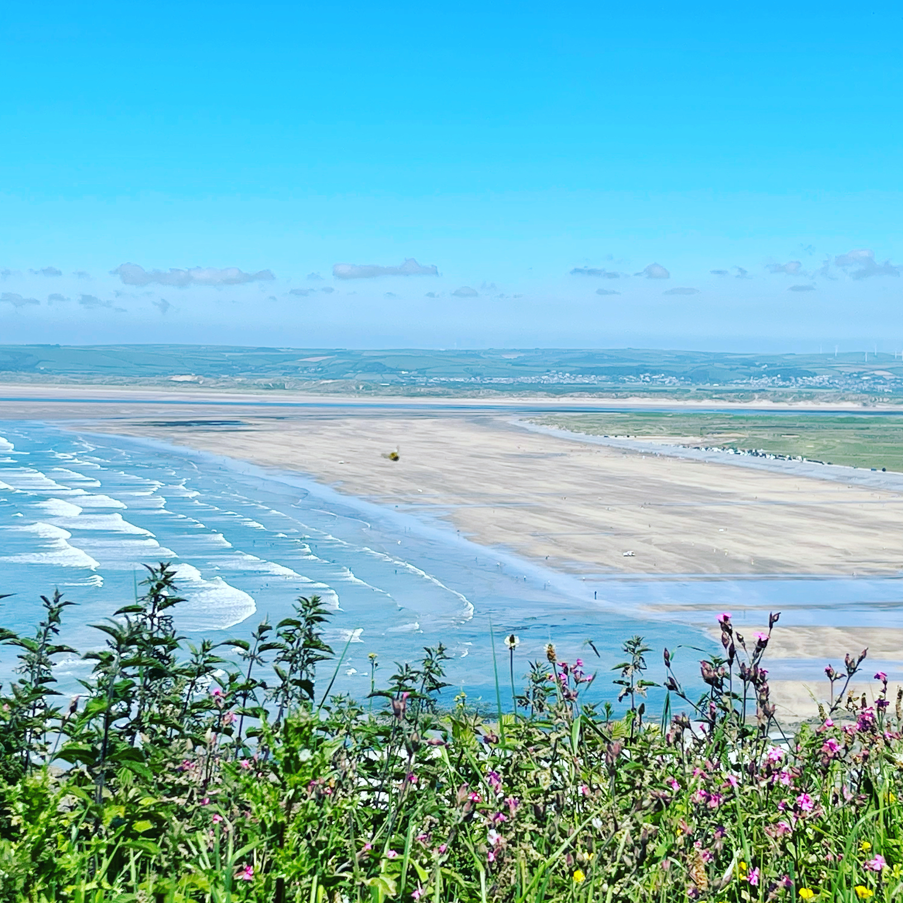 Book Luxury Dog Friendly Holiday Accommodation next to a Blue Flag Beach in Devon