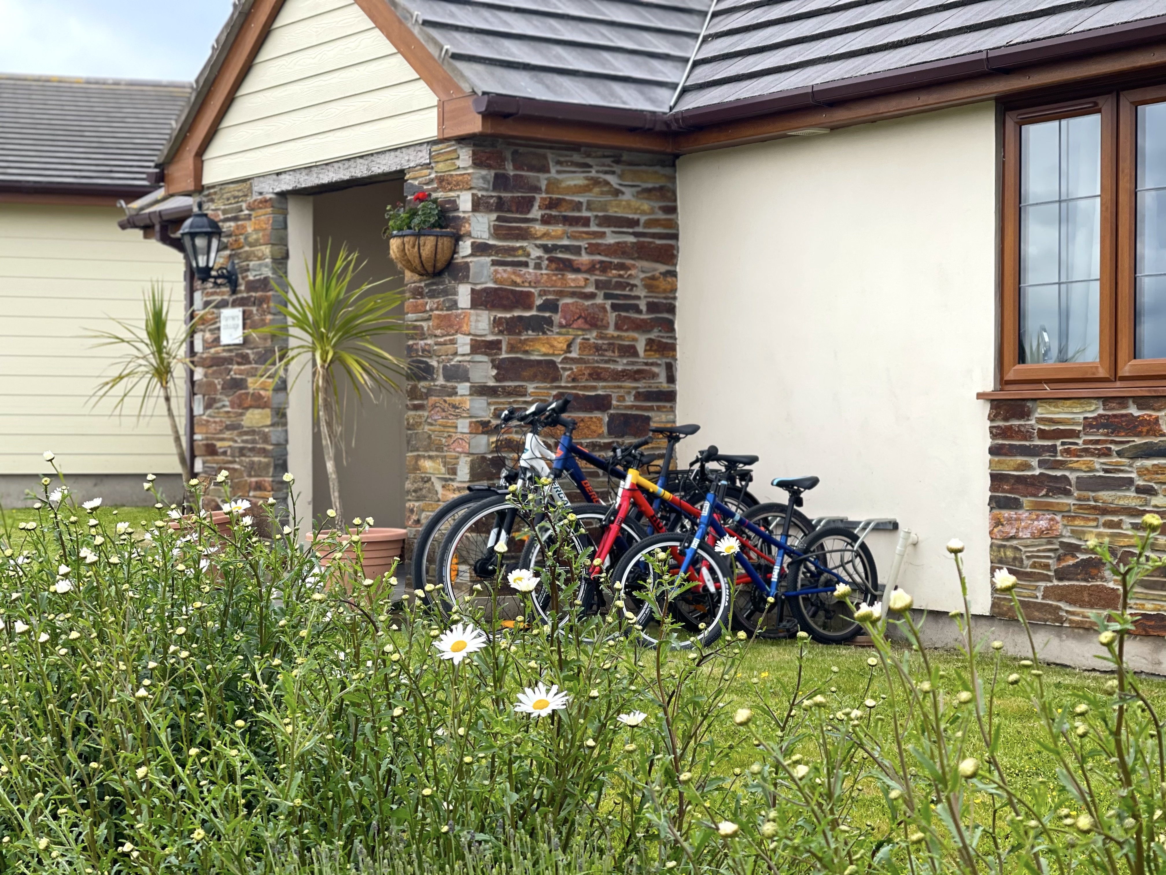 🍂 Autumn Holidays in North Devon – Escape to Westward Living Holiday Cottages