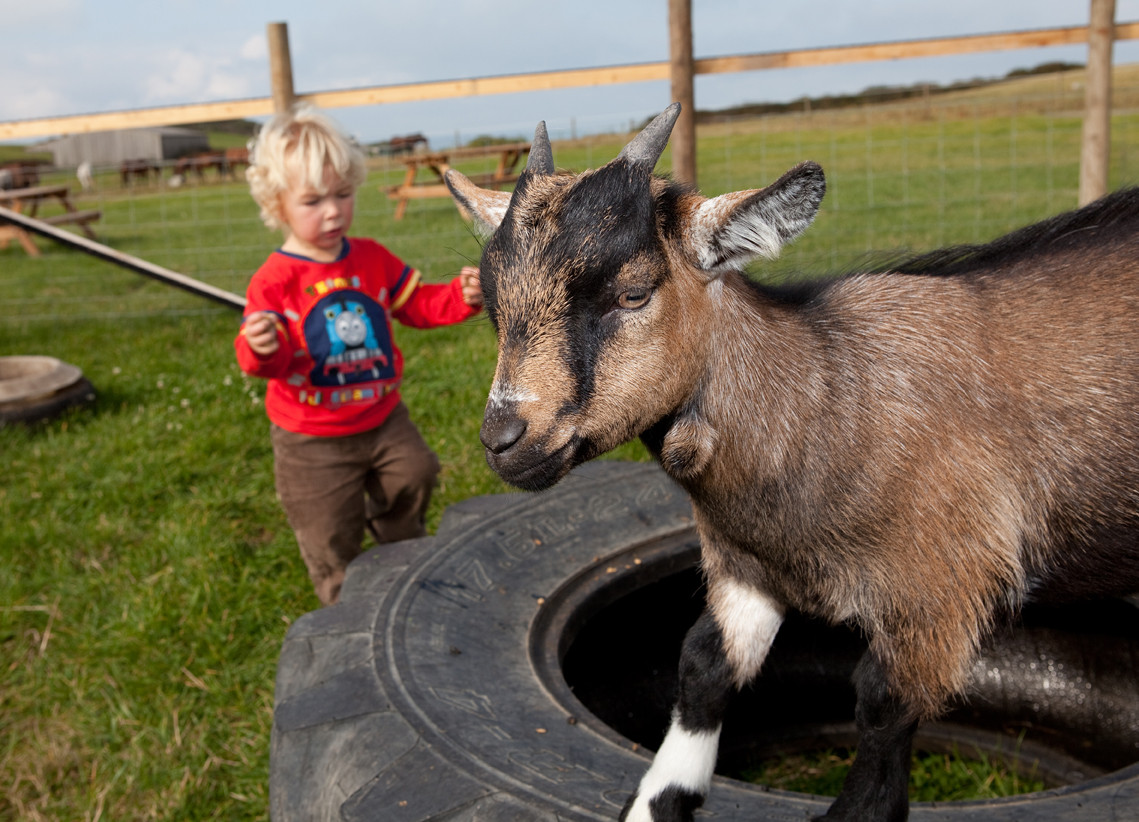Spring Escapes Await at Westward Living – Last-Minute Availability