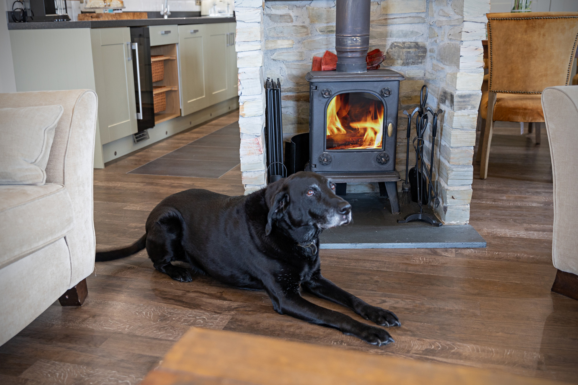 Discover Dog-Friendly February Half Term Holidays